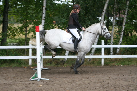 IMG_4703.JPG