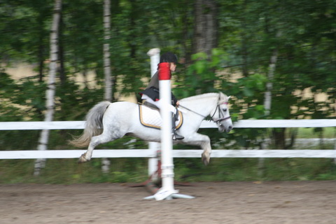 IMG_4716.JPG