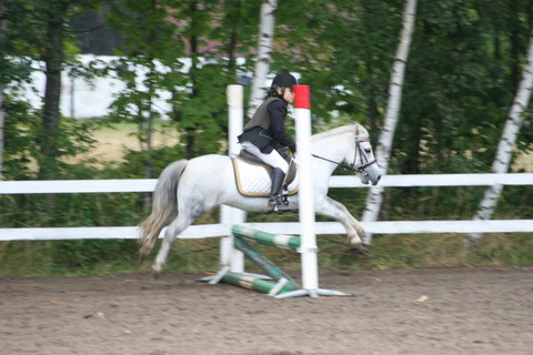 IMG_4717.JPG