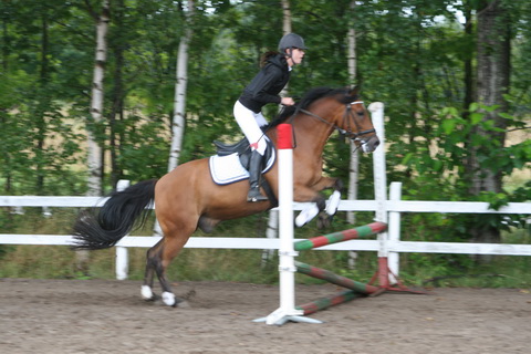 IMG_4729.JPG