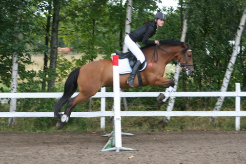 IMG_4730.JPG