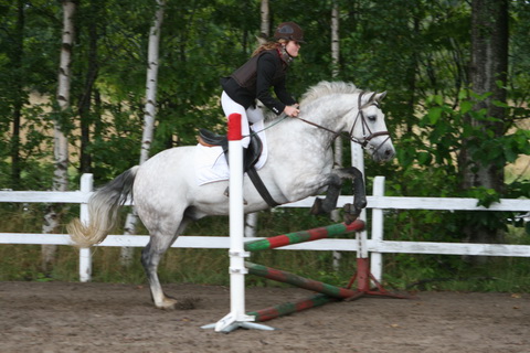 IMG_4734.JPG