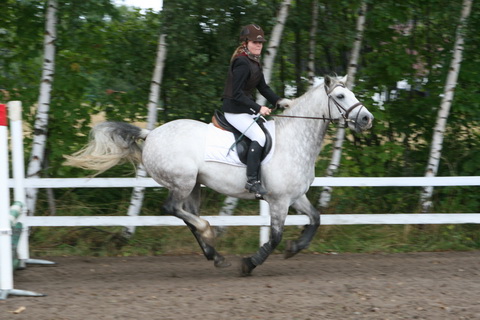 IMG_4737.JPG