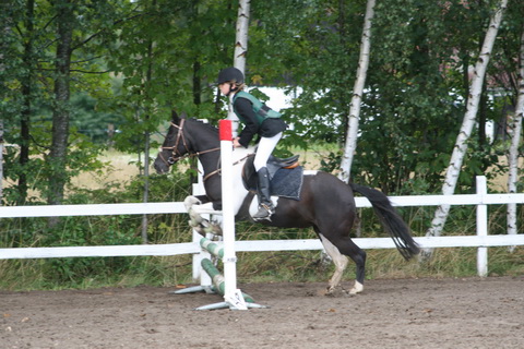 IMG_4766.JPG
