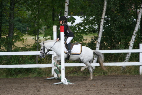 IMG_4773.JPG