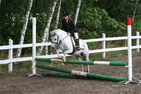 IMG_4783.JPG