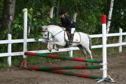 IMG_4784.JPG