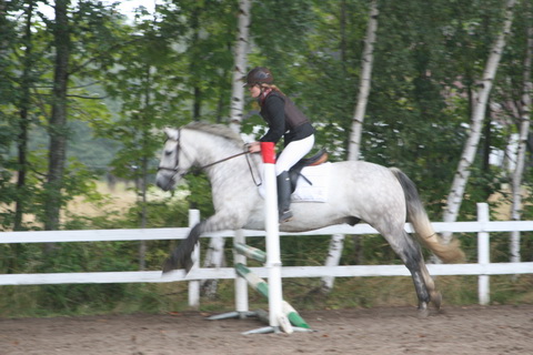 IMG_4800.JPG