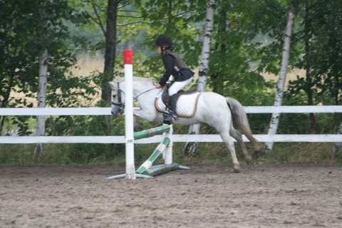 IMG_4831.JPG