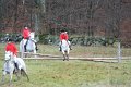 IMG_6234