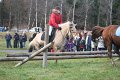 IMG_6346