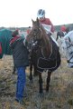 IMG_6745