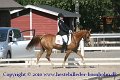 IMG_1737