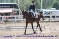 IMG_1603