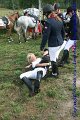 IMG_3515