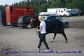 IMG_0892