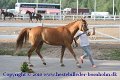 IMG_0908