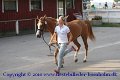 IMG_0912