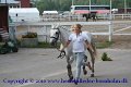 IMG_0952