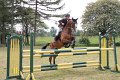 IMG_0631