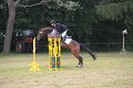 IMG_0962