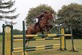IMG_0974
