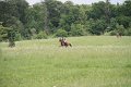 IMG_1912