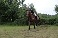 IMG_1987