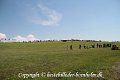 IMG_8187