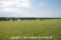 IMG_8542