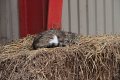 IMG_7289