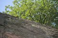 IMG_8407