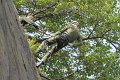 IMG_8435