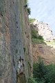 IMG_8506