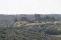 IMG_8568