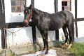 IMG_8642