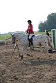 IMG_3334