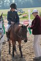 IMG_4247