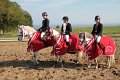 IMG_4340