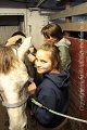 IMG_4874