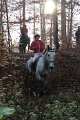 IMG_6546
