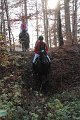 IMG_6553