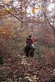IMG_6578