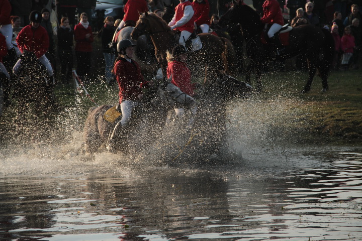 IMG_7028.JPG