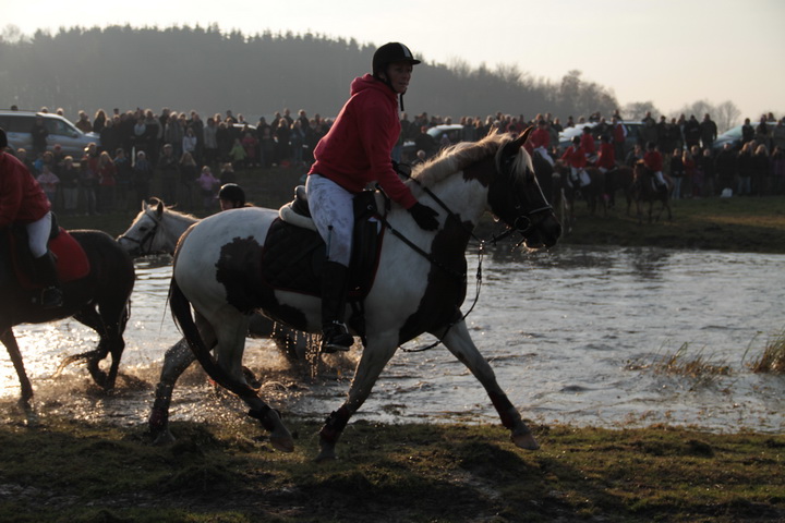 IMG_7275.JPG