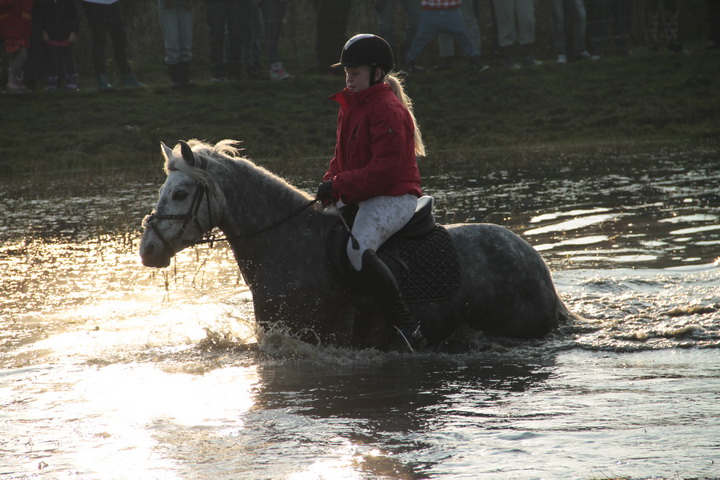 IMG_7284.JPG