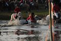 IMG_7142