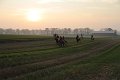 IMG_7339