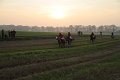 IMG_7340