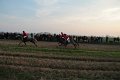 IMG_7346
